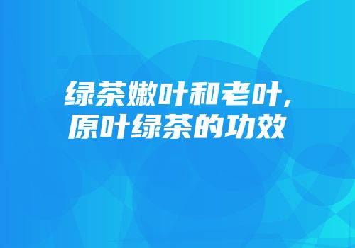 绿茶嫩叶和老叶,原叶绿茶的功效