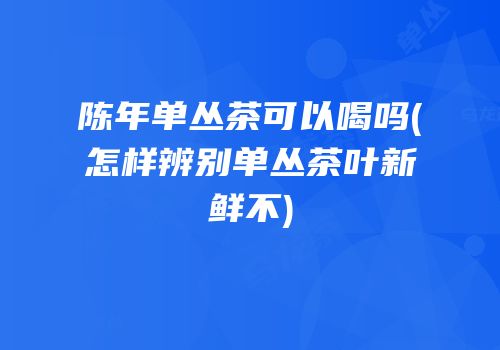 陈年单丛茶可以喝吗(怎样辨别单丛茶叶新鲜不)