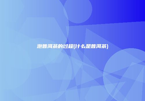 泡普洱茶的过程(什么是普洱茶)