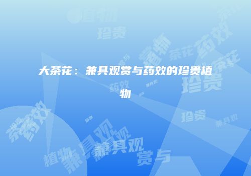 大茶花：兼具观赏与药效的珍贵植物