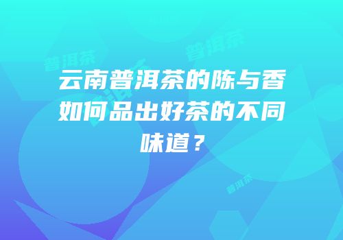 云南普洱茶的陈与香如何品出好茶的不同味道？