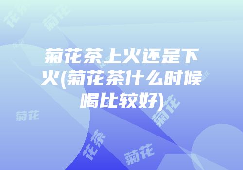 菊花茶上火还是下火(菊花茶什么时候喝比较好)