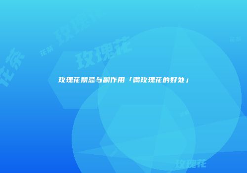 玫瑰花禁忌与副作用「喝玫瑰花的好处」