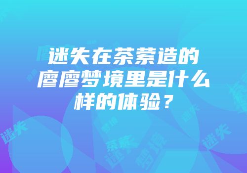 迷失在茶萦造的廖廖梦境里是什么样的体验？