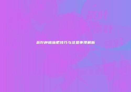 茶叶种植施肥技巧与注意事项解析
