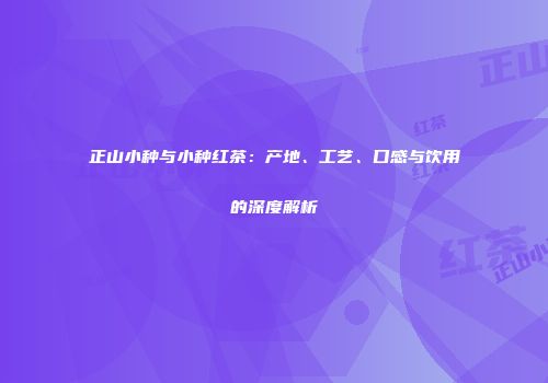 正山小种与小种红茶：产地、工艺、口感与饮用的深度解析