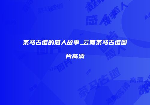 茶马古道的感人故事_云南茶马古道图片高清