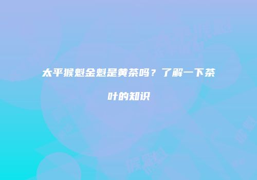 太平猴魁金魁是黄茶吗？了解一下茶叶的知识