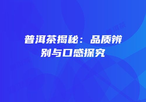 普洱茶揭秘：品质辨别与口感探究