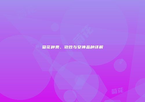 菊花种类、功效与安神品种详解