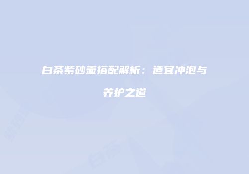 白茶紫砂壶搭配解析：适宜冲泡与养护之道