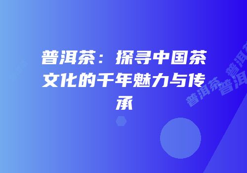 普洱茶：探寻中国茶文化的千年魅力与传承