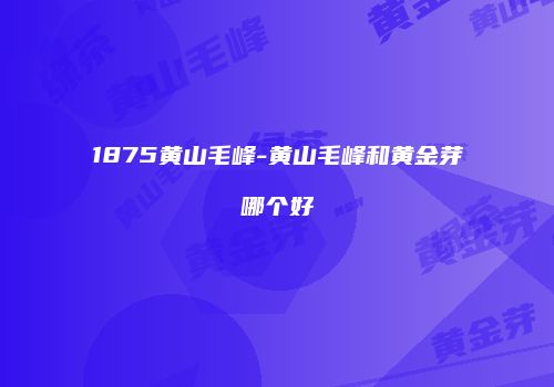 1875黄山毛峰-黄山毛峰和黄金芽哪个好