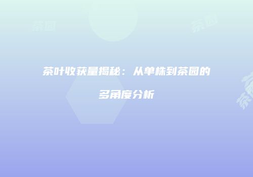 茶叶收获量揭秘：从单株到茶园的多角度分析