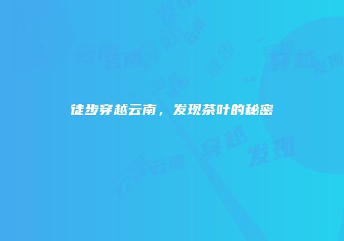 徒步穿越云南，发现茶叶的秘密