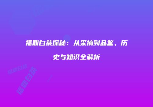 福鼎白茶探秘：从采摘到品鉴，历史与知识全解析