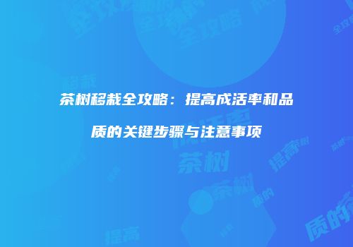 茶树移栽全攻略：提高成活率和品质的关键步骤与注意事项