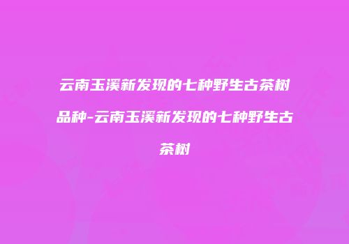 云南玉溪新发现的七种野生古茶树品种-云南玉溪新发现的七种野生古茶树