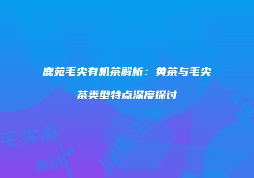 鹿苑毛尖有机茶解析：黄茶与毛尖茶类型特点深度探讨