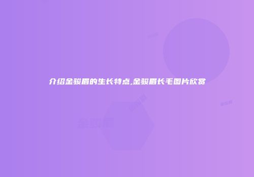 介绍金骏眉的生长特点,金骏眉长毛图片欣赏