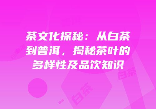 茶文化探秘：从白茶到普洱，揭秘茶叶的多样性及品饮知识