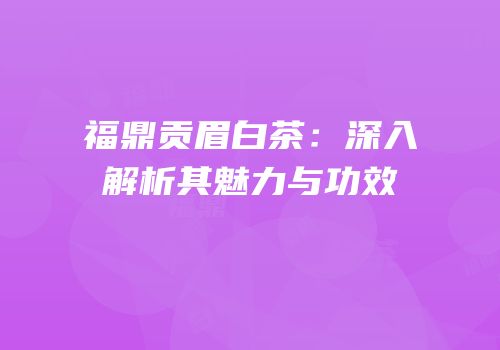 福鼎贡眉白茶：深入解析其魅力与功效