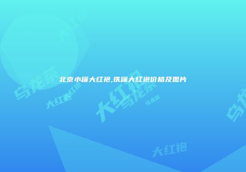 北京小罐大红袍,铁罐大红袍价格及图片