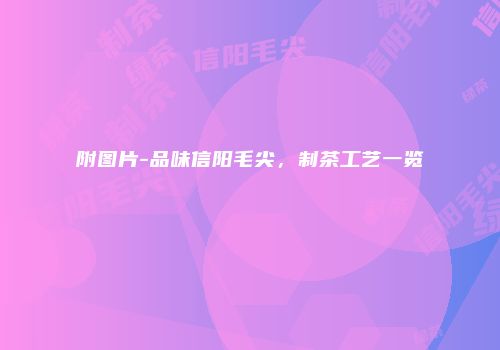附图片-品味信阳毛尖，制茶工艺一览