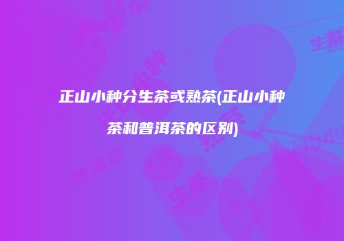 正山小种分生茶或熟茶(正山小种茶和普洱茶的区别)
