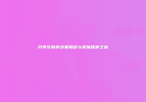 月季花瓣的多重用途与美味健康之道