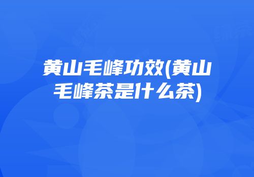 黄山毛峰功效(黄山毛峰茶是什么茶)
