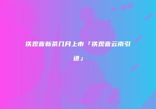 铁观音新茶几月上市「铁观音云南引进」