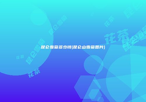 昆仑雪菊多少钱(昆仑山雪菊图片)
