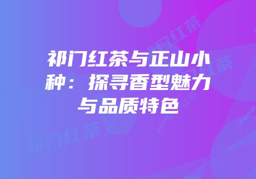 祁门红茶与正山小种：探寻香型魅力与品质特色