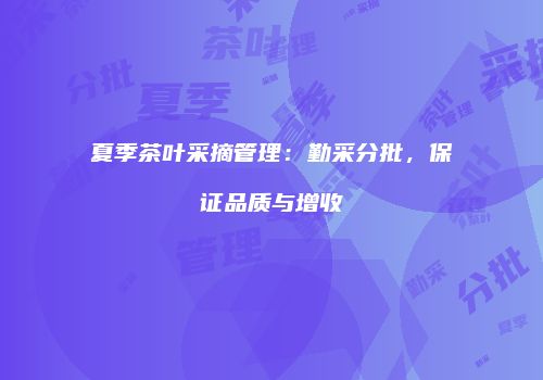 夏季茶叶采摘管理：勤采分批，保证品质与增收