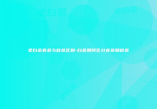老白茶春茶与秋茶区别-白茶如何区分春茶和秋茶