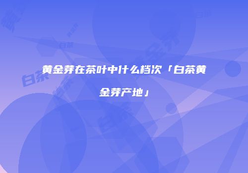 黄金芽在茶叶中什么档次「白茶黄金芽产地」