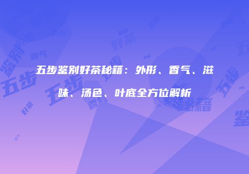 五步鉴别好茶秘籍：外形、香气、滋味、汤色、叶底全方位解析
