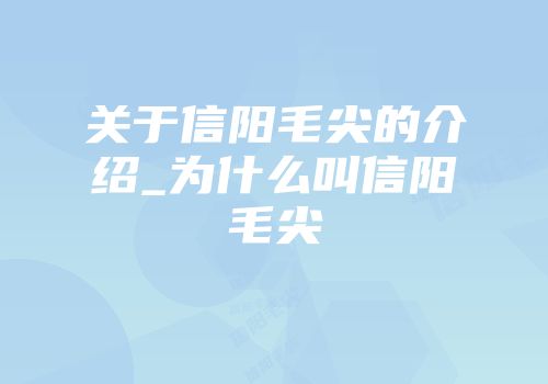 关于信阳毛尖的介绍_为什么叫信阳毛尖
