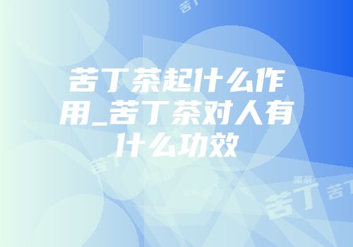苦丁茶起什么作用_苦丁茶对人有什么功效