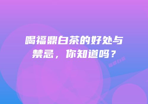 喝福鼎白茶的好处与禁忌，你知道吗？