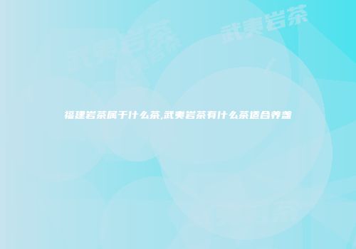 福建岩茶属于什么茶,武夷岩茶有什么茶适合养盏