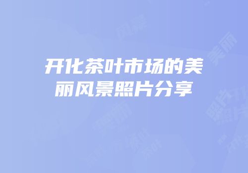 开化茶叶市场的美丽风景照片分享