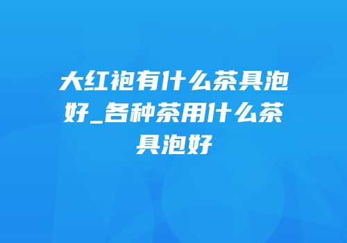 大红袍有什么茶具泡好_各种茶用什么茶具泡好