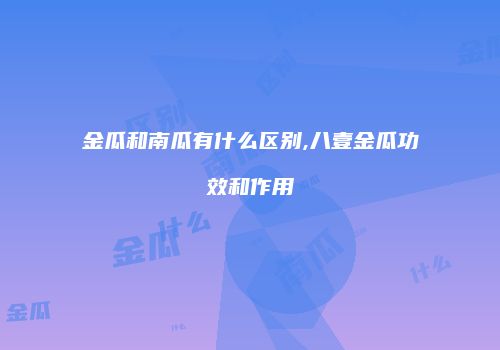 金瓜和南瓜有什么区别,八壹金瓜功效和作用