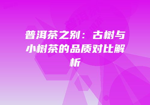 普洱茶之别：古树与小树茶的品质对比解析