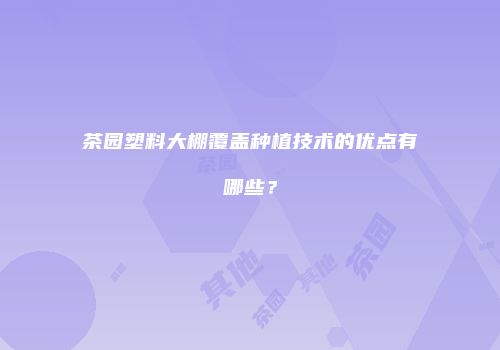 茶园塑料大棚覆盖种植技术的优点有哪些？