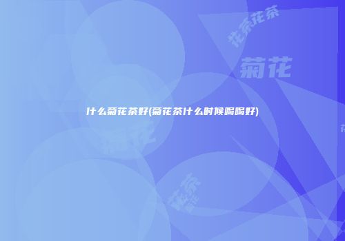 什么菊花茶好(菊花茶什么时候喝喝好)