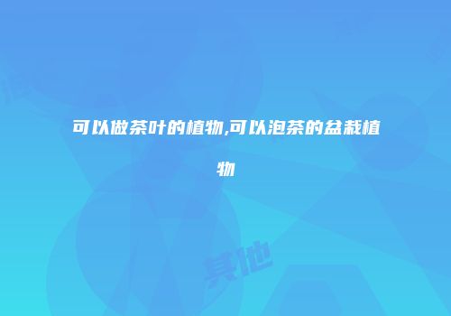可以做茶叶的植物,可以泡茶的盆栽植物
