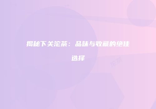 揭秘下关沱茶：品味与收藏的绝佳选择